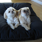 Denim Covered Wool Fill Pet Beds