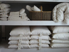 organic cotton/ ECO-Pure wool Pillows, neck rolls, cotton sheets and pillow cases and comforters