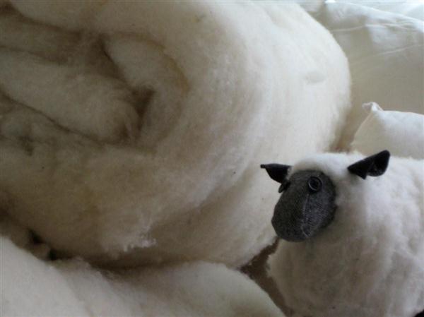 All wool pillows are part of our wool renewal program.