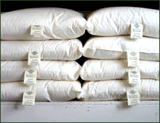 Wool Pillows
