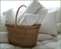 organic Wool Mattress - Pillows - Neck Rolls - Organic Cotton Sheets