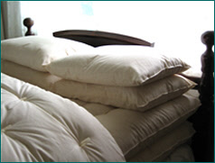 Organic wool pillows in several sizes and 5 different thicknesses for perfect restful sleep Pillows on a bed