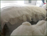 Mattress toppers made from the purest wool, all organic, custom, patented wool mattress topper making technology Pure organic wool for making mattress toppers