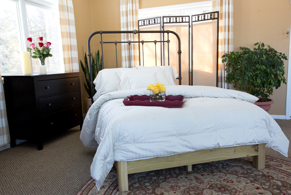 All Natural Chemical Free Organic Sheet Set