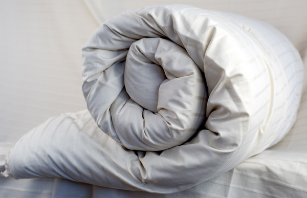 Organic Cotton & ECO-Pure Wool Fill Comforters