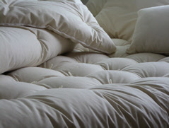 Organic cotton with ECO-Pure wool Comforter