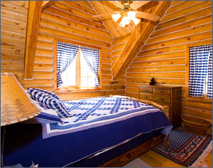 Mountain cabin with twin bed wool mattress