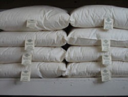 Wool pillow collection