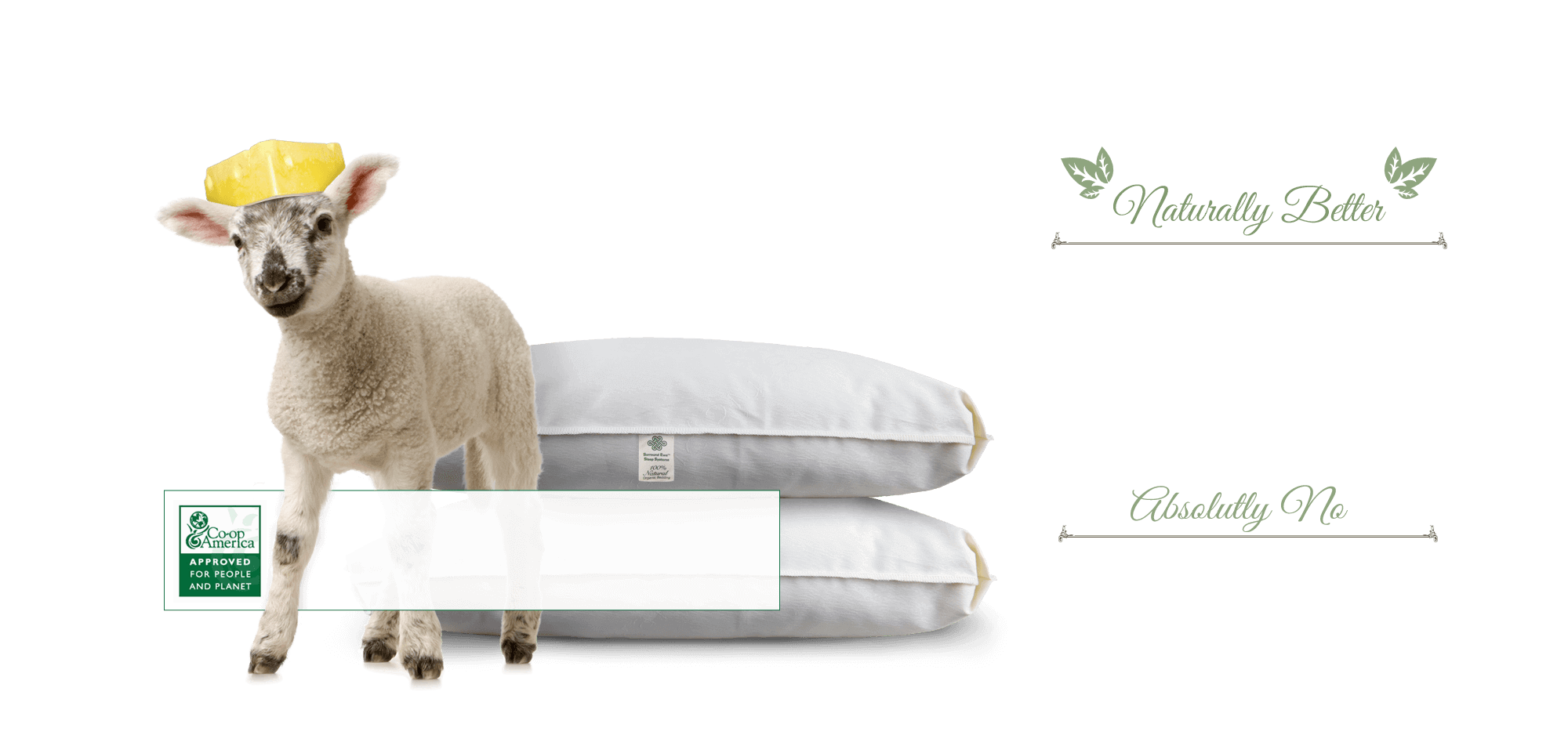 Natural wool for pillows & mattresses